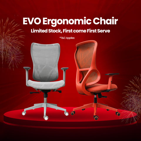 EVO Ergonomic Chair