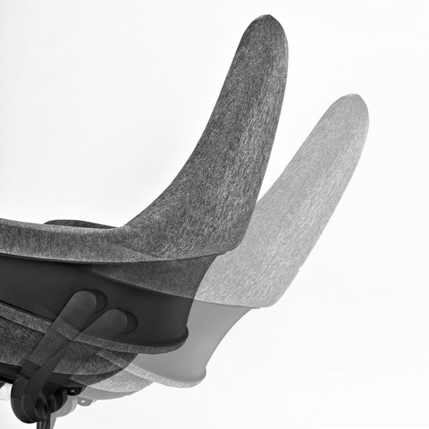 Back Support