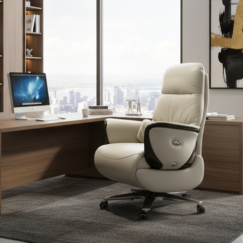 OMI Director Massage Chair