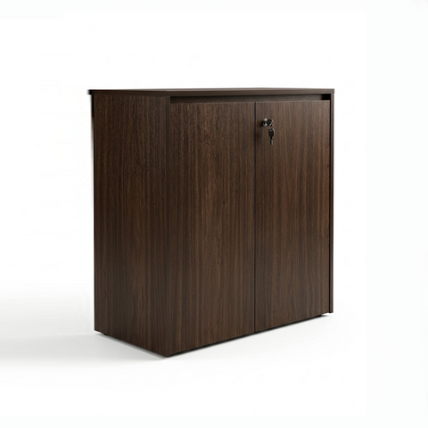 SWON Swing Door Cabinet
