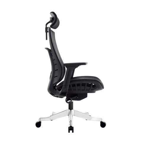 TL62 Ergonomic Highback Mesh Chair