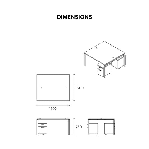 Duo Dynamic Workstation