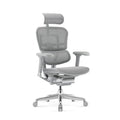 Ergohuman Elite 2 Mesh Ergonomic Chair