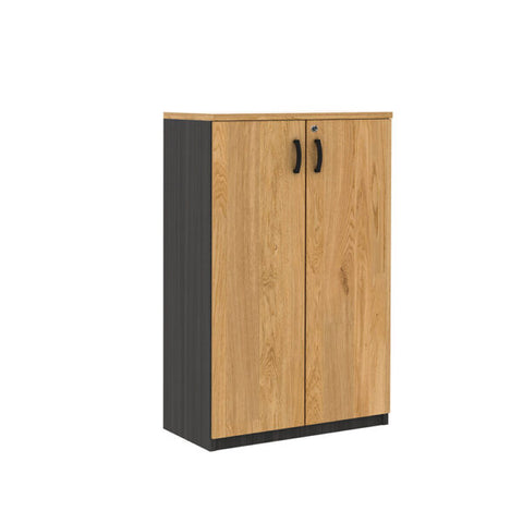 MP Swing Door Cabinet