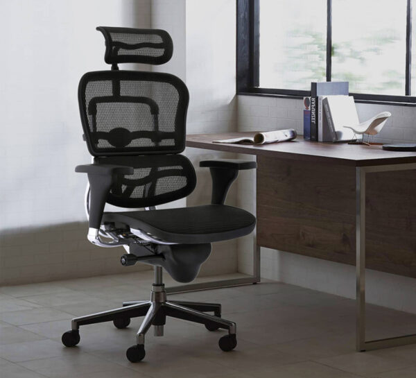 Ergohuman | Ergonomic Chair | Over 800k units sold | AM Office