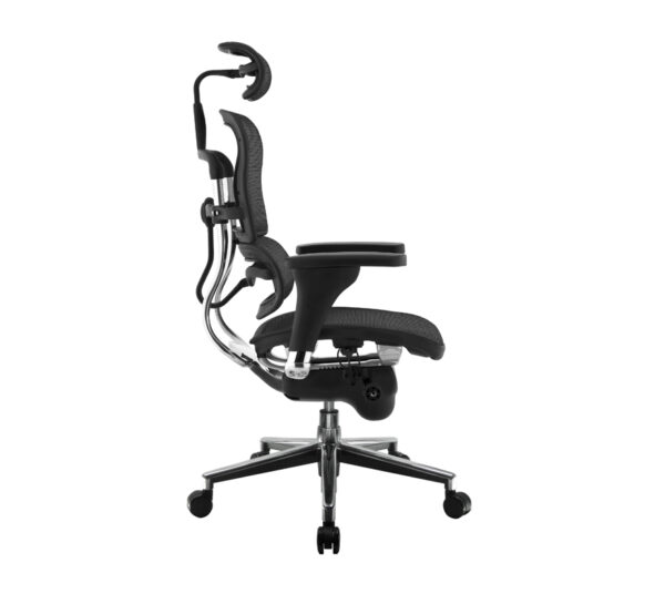 Ergohuman Ergonomic Mesh Chair