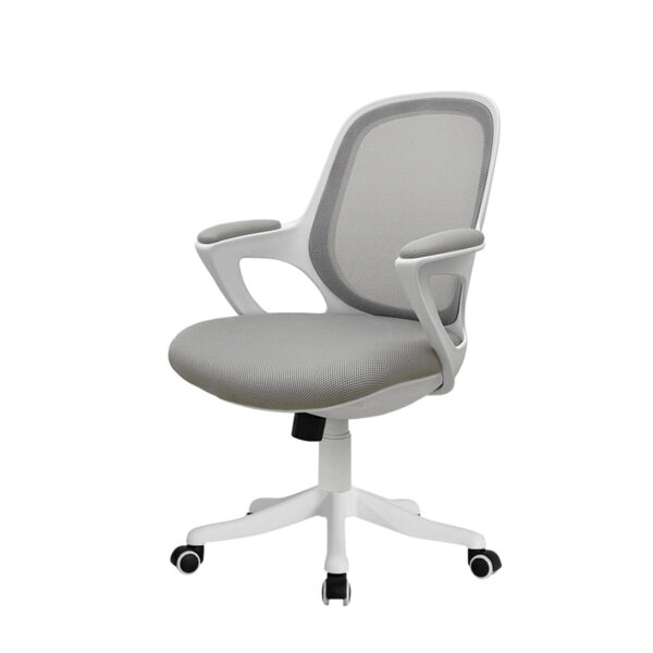 ECO Typist Lowback Mesh Chair